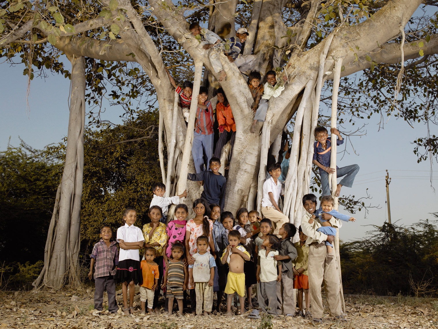 elephant-india-030207-009586-final.jpg